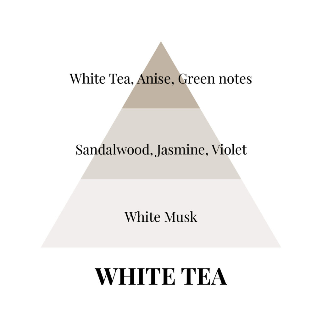 Piramides olfativas en white tea