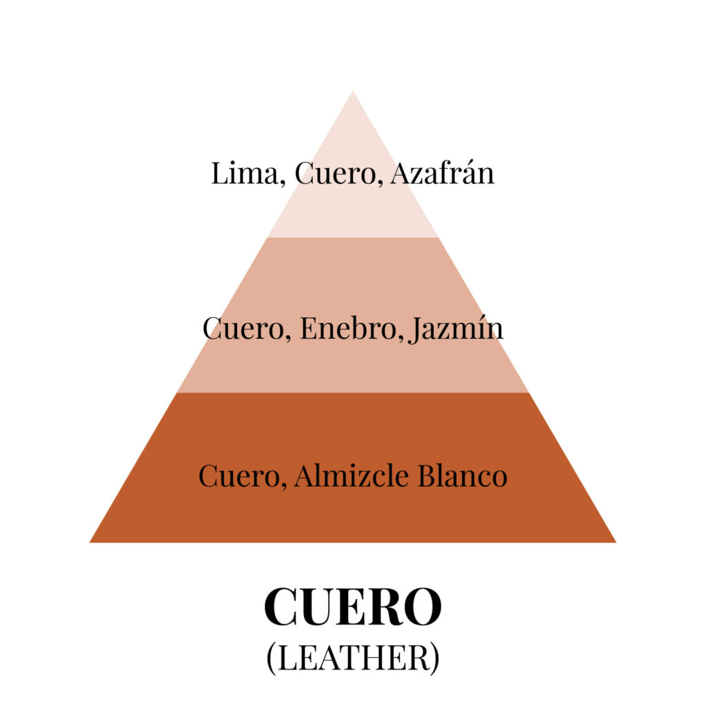 Pirámides olfativas - cuero