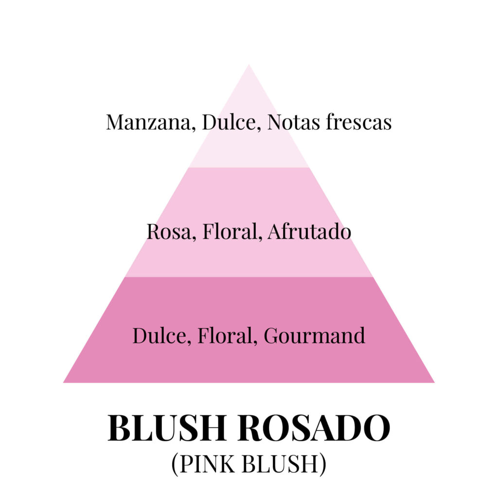 Pirámides olfativas - blush rosado