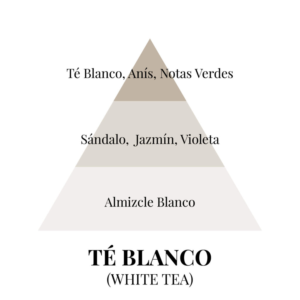 Pirámides olfativas - té blanco