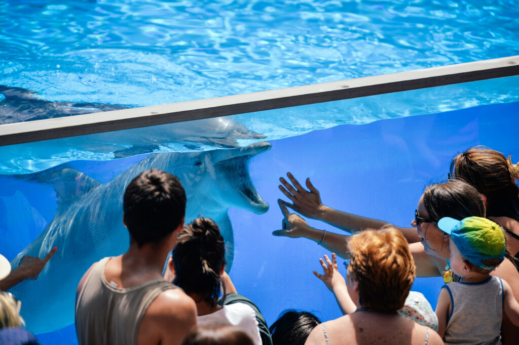 Shutterstock 436930171