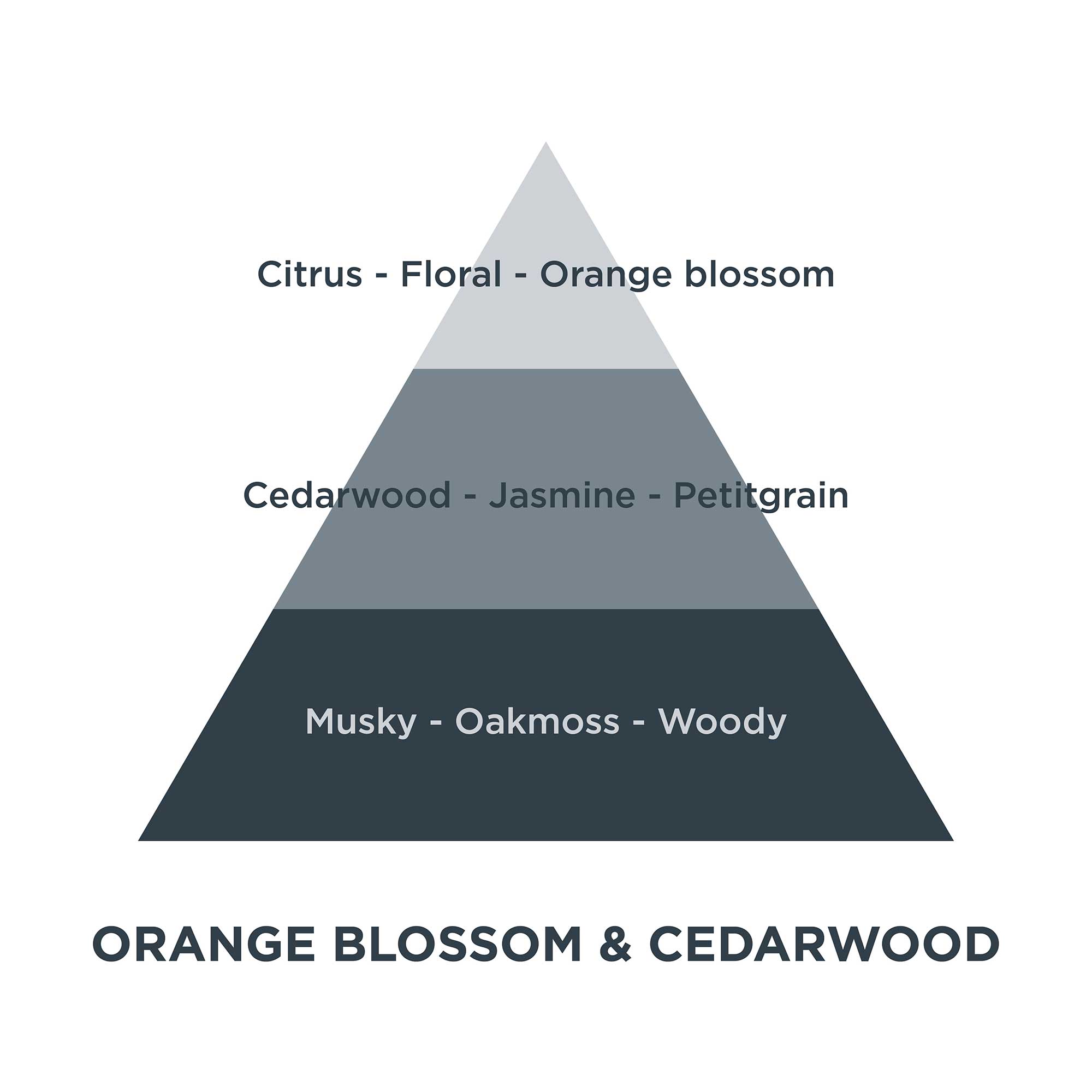 Piramides olfativas 01