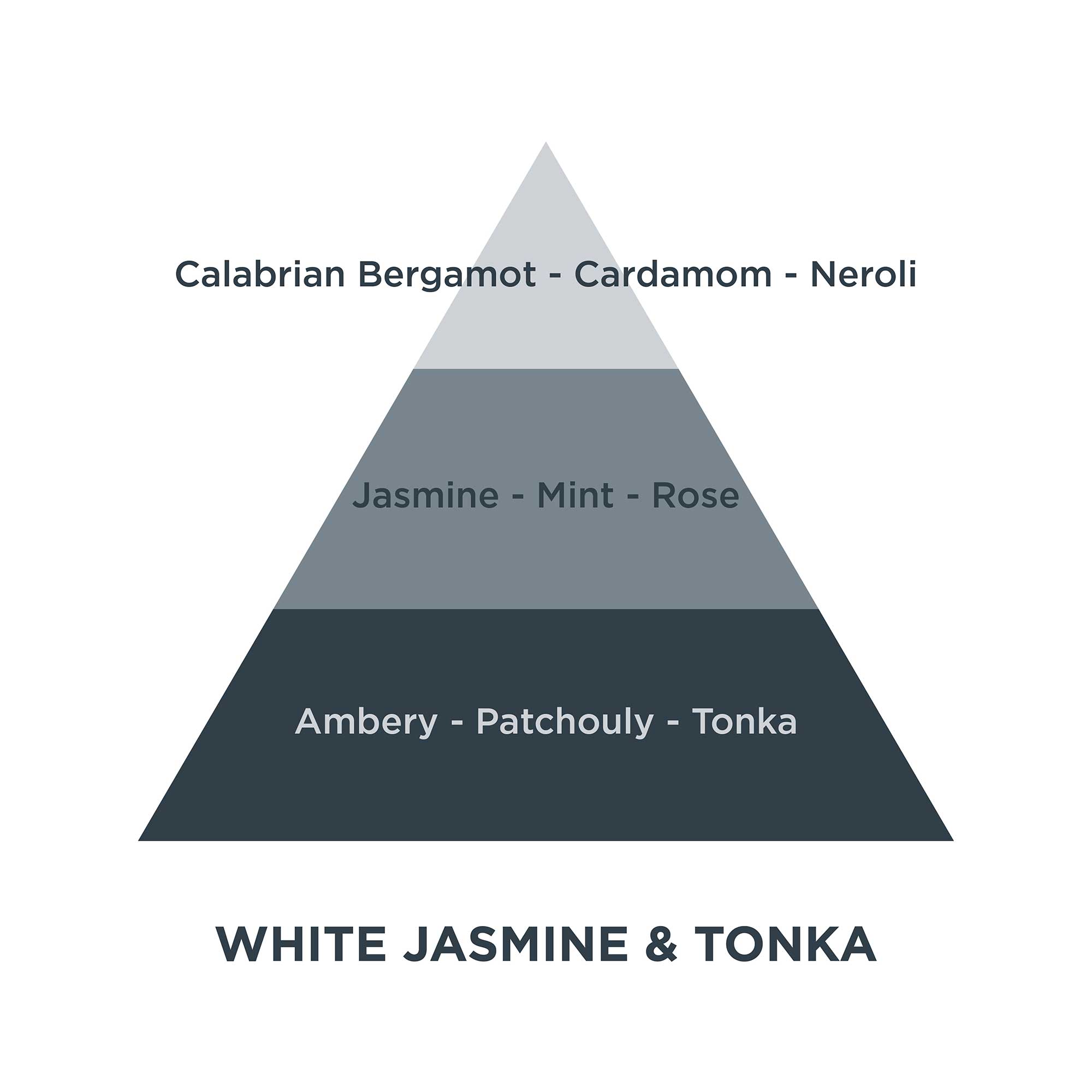 Piramides olfativas 02