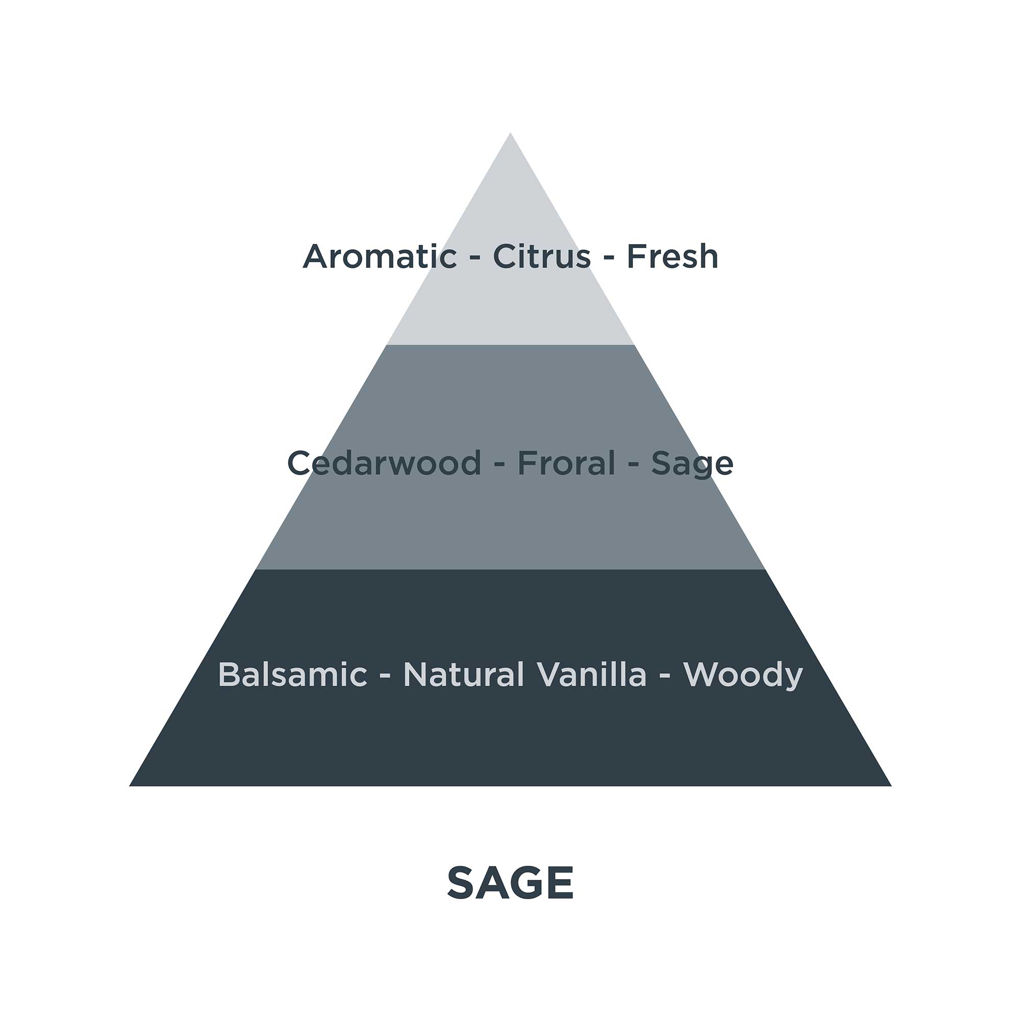 Piramides olfativas 03
