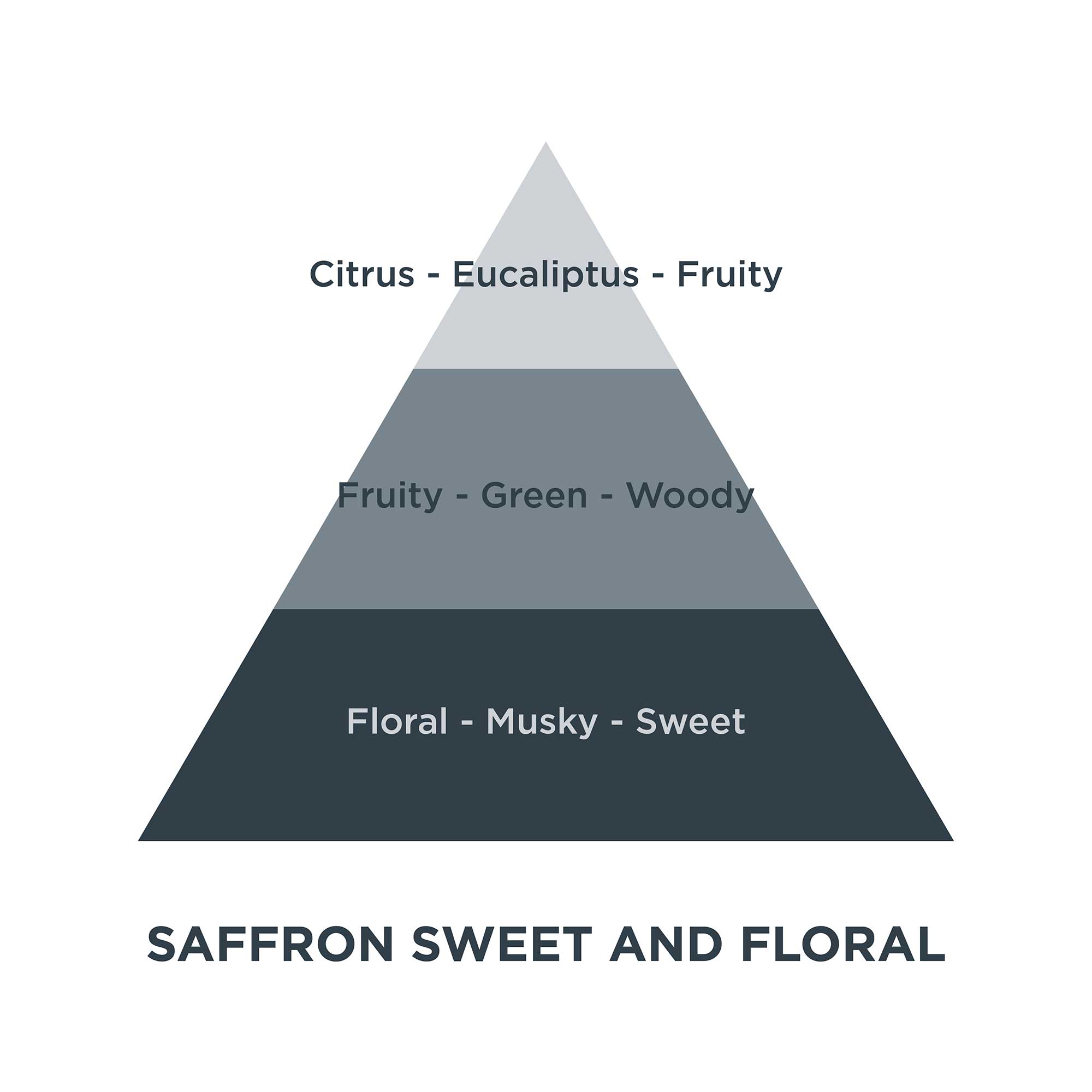 Piramides olfativas 04