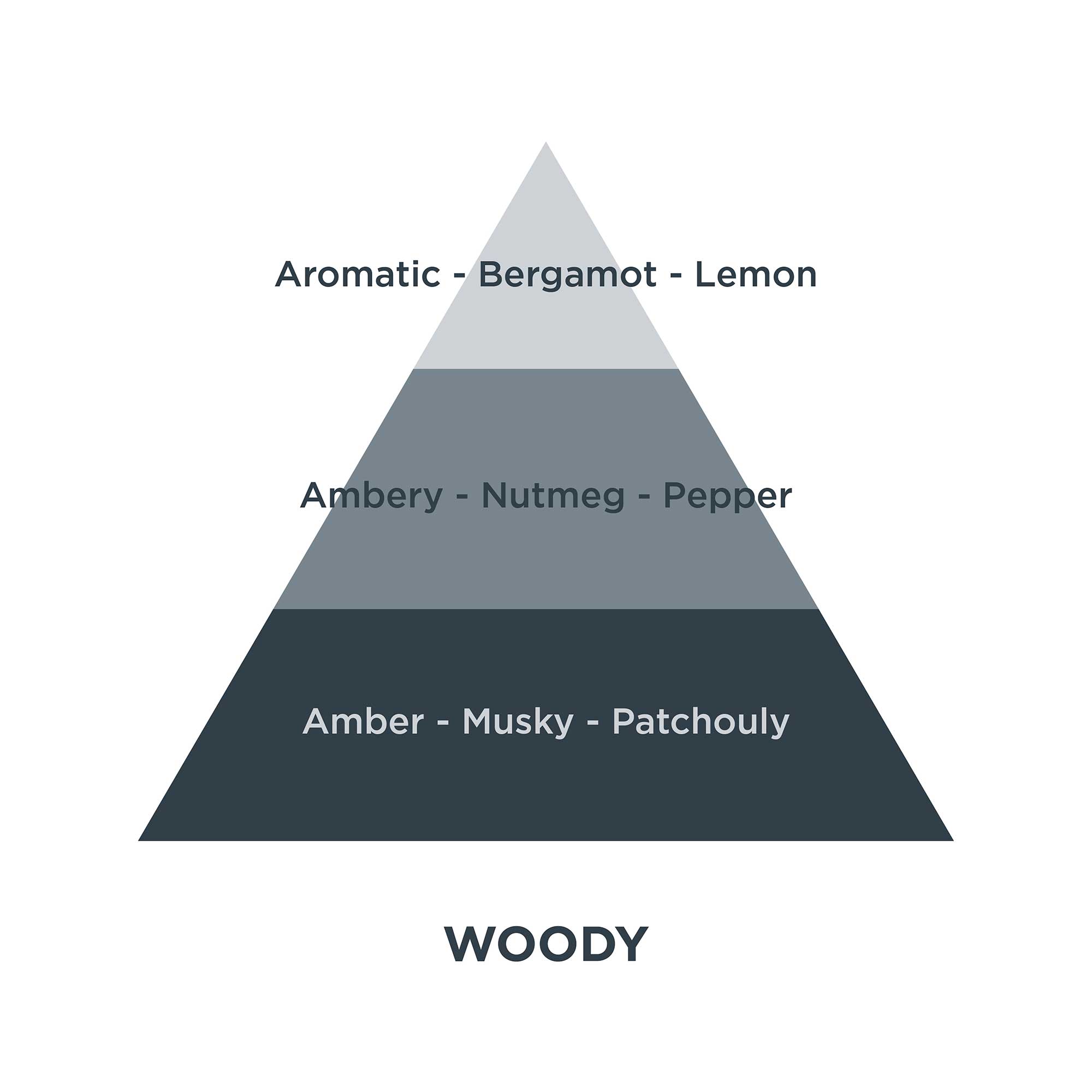 Piramides olfativas 05