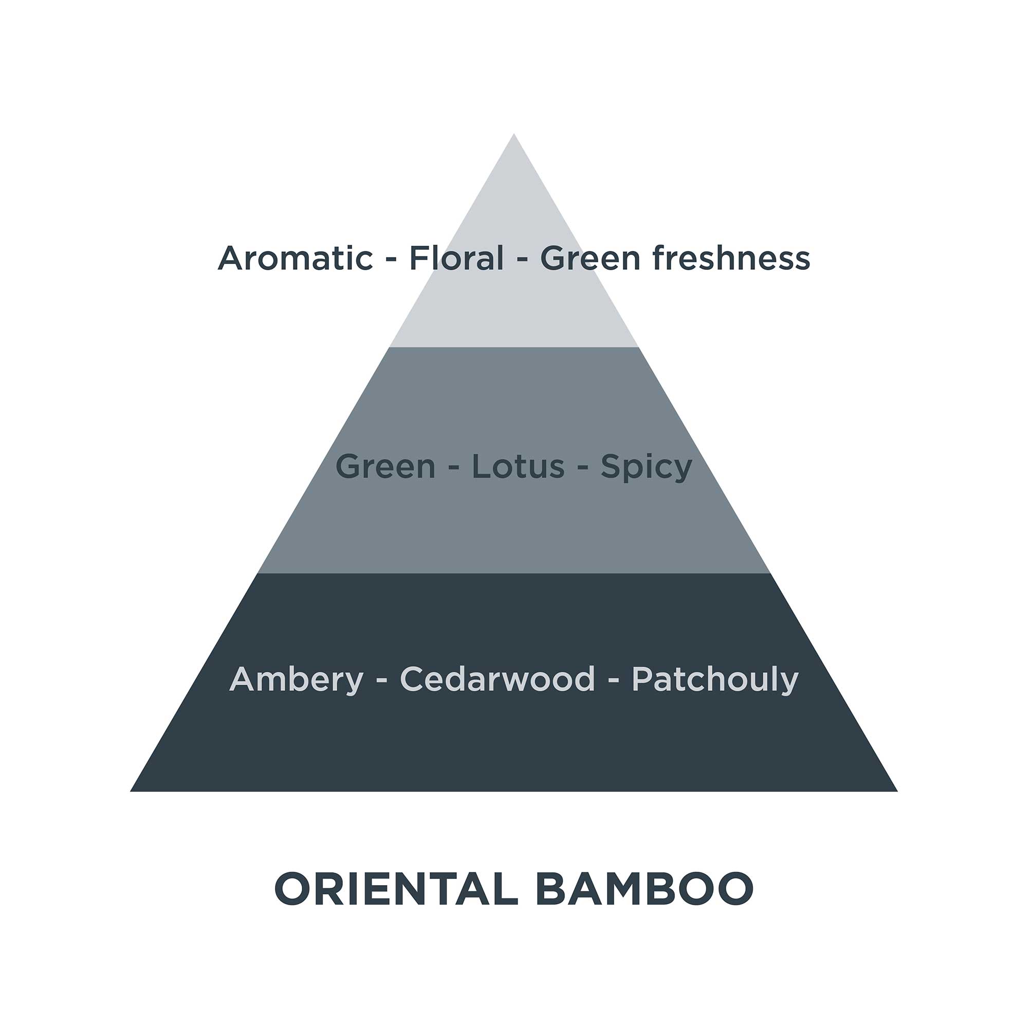 Piramides olfativas 06