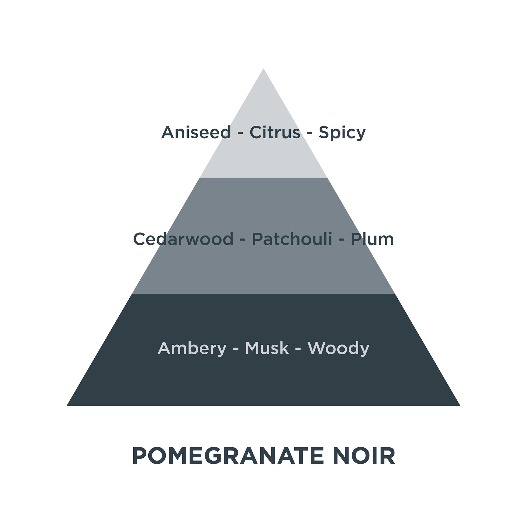 Piramides olfativas 07