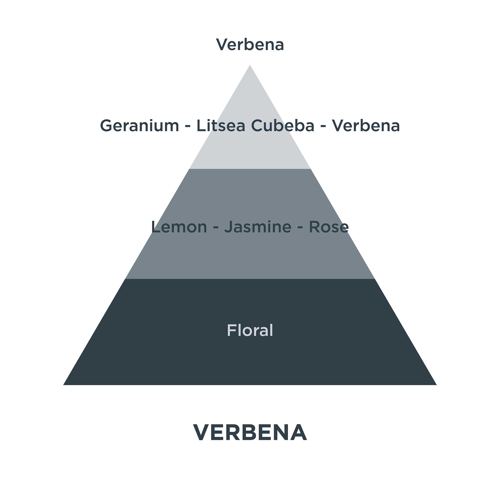 Piramides olfativas 08