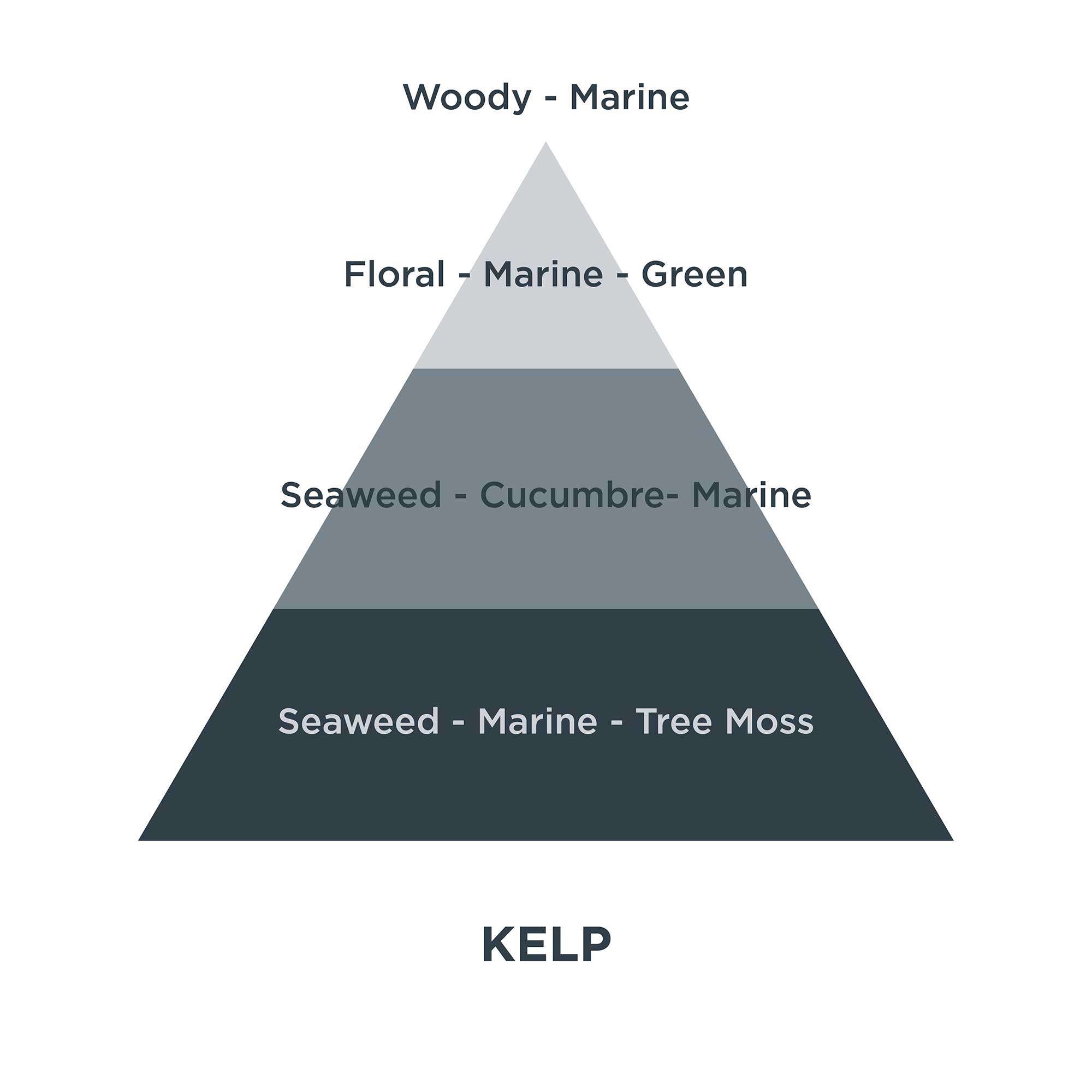 Piramides olfativas 09