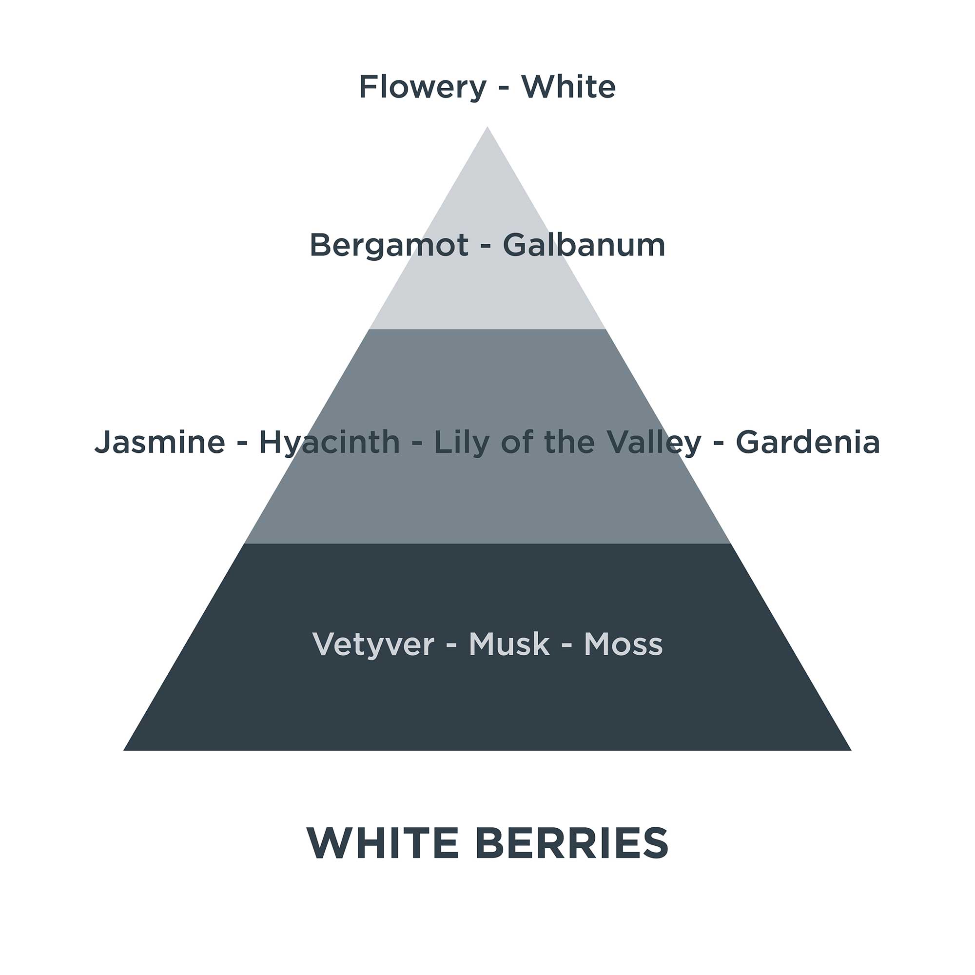 Piramides olfativas 10