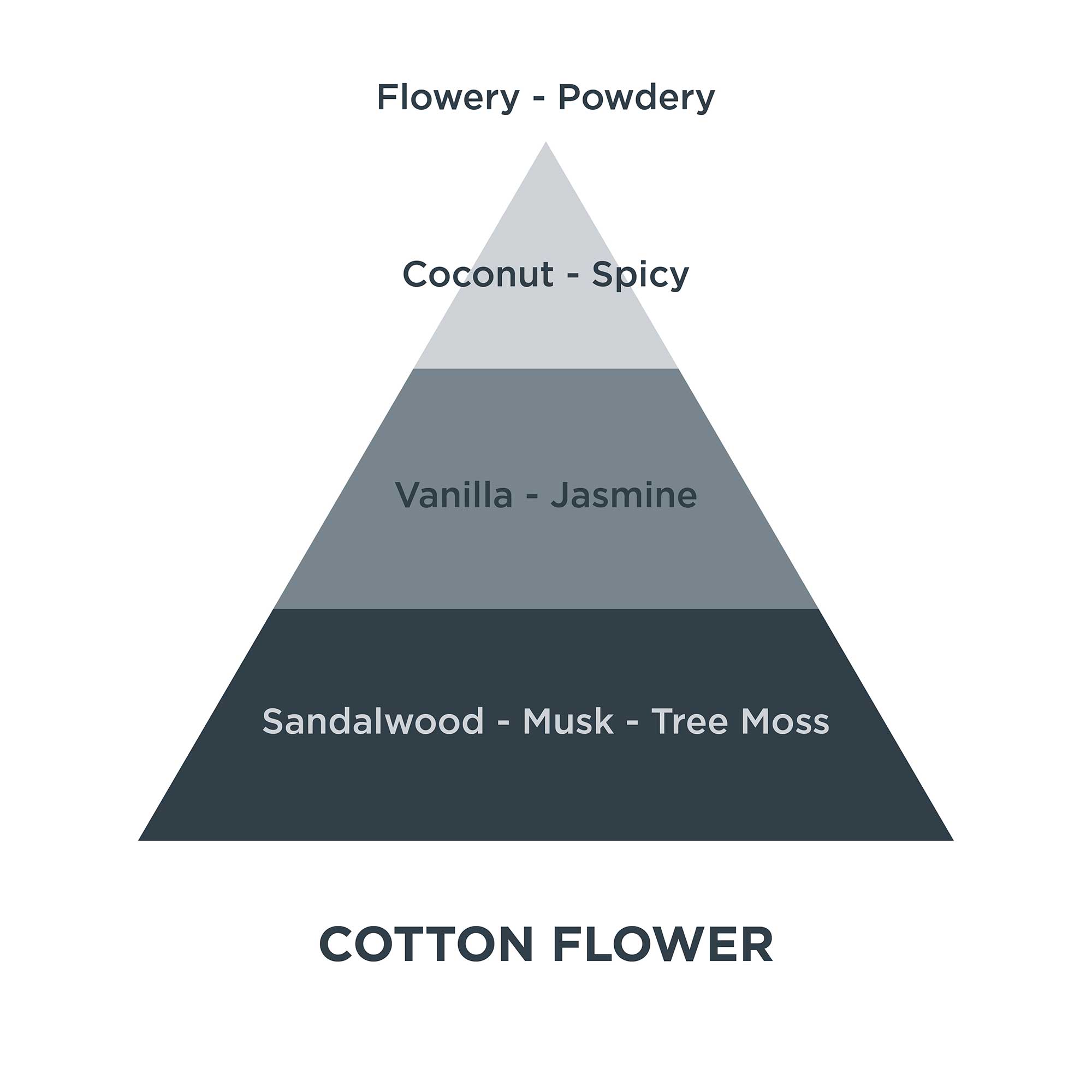 Piramides olfativas 11