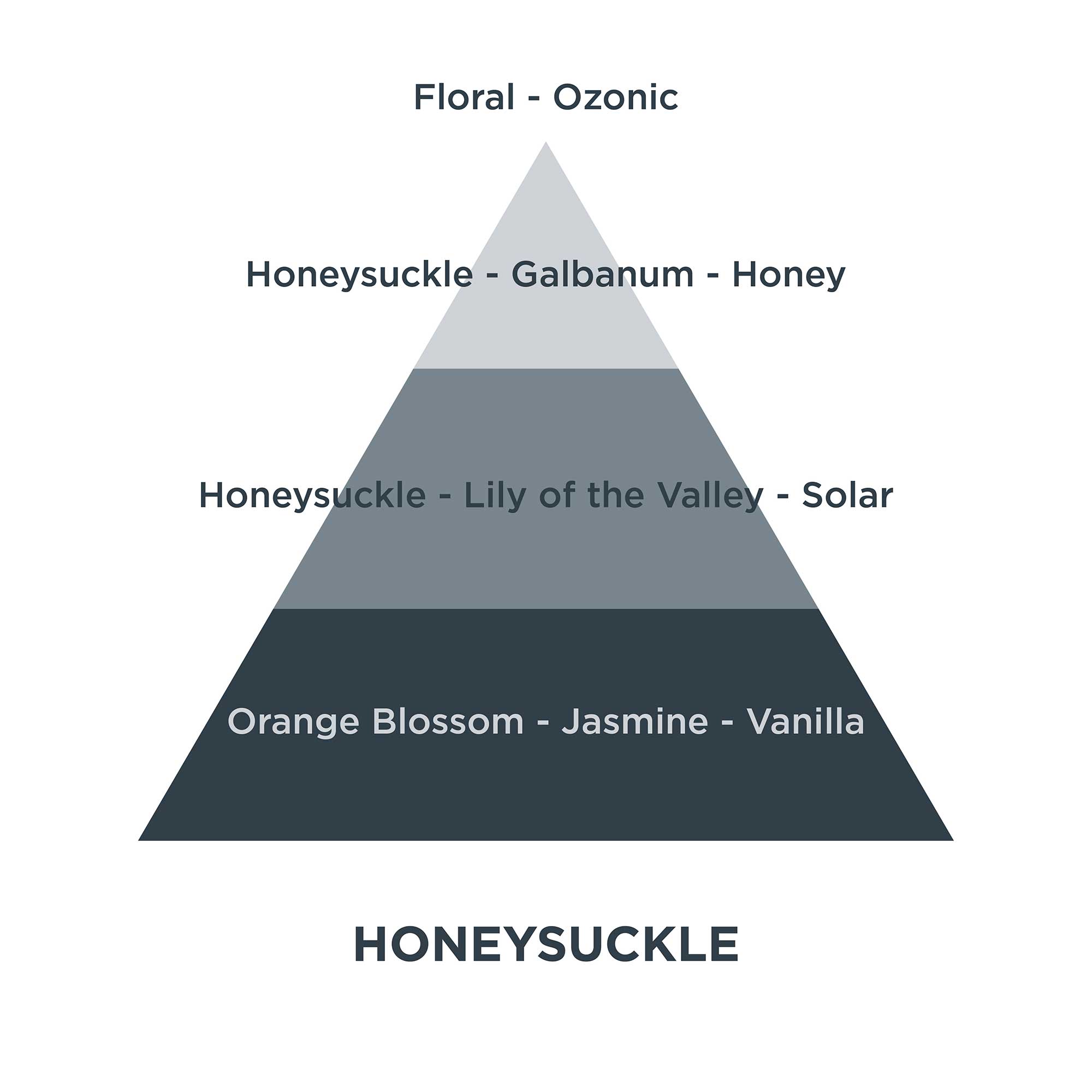 Piramides olfativas 12