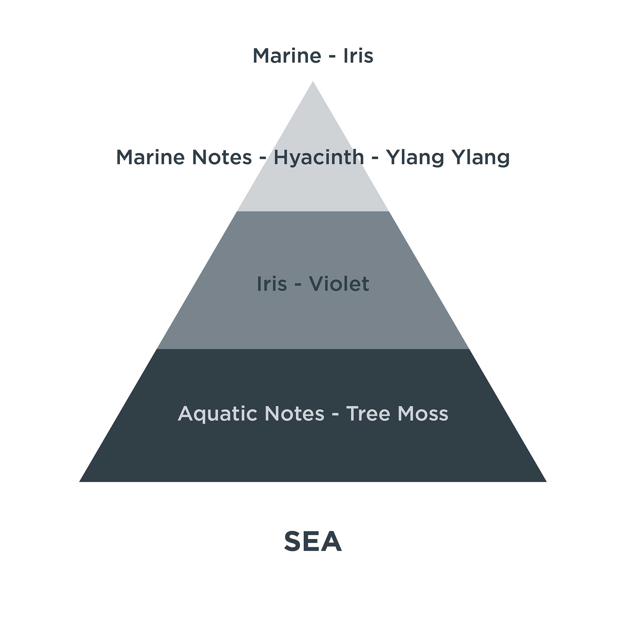 Piramides olfativas 13