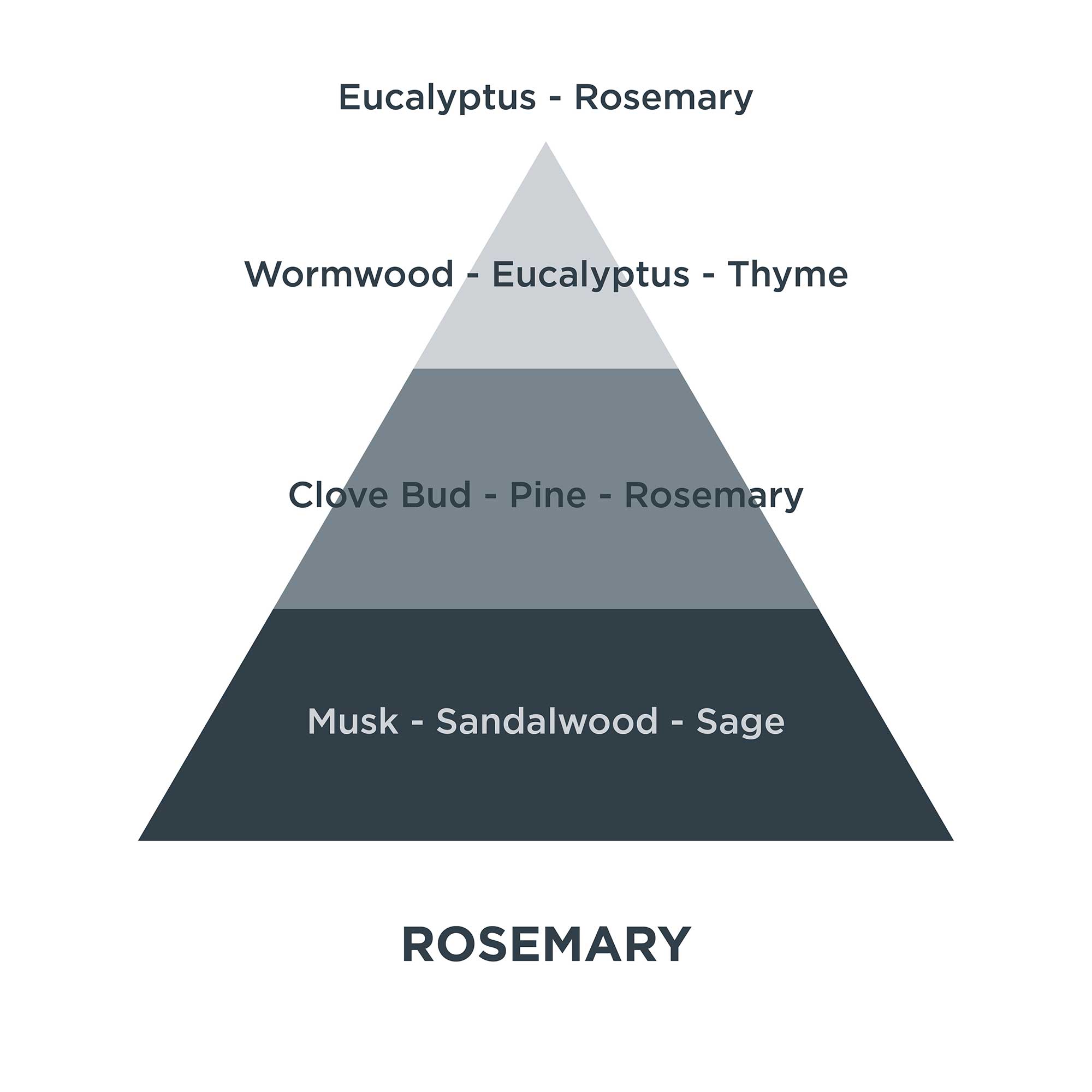 Piramides olfativas 14