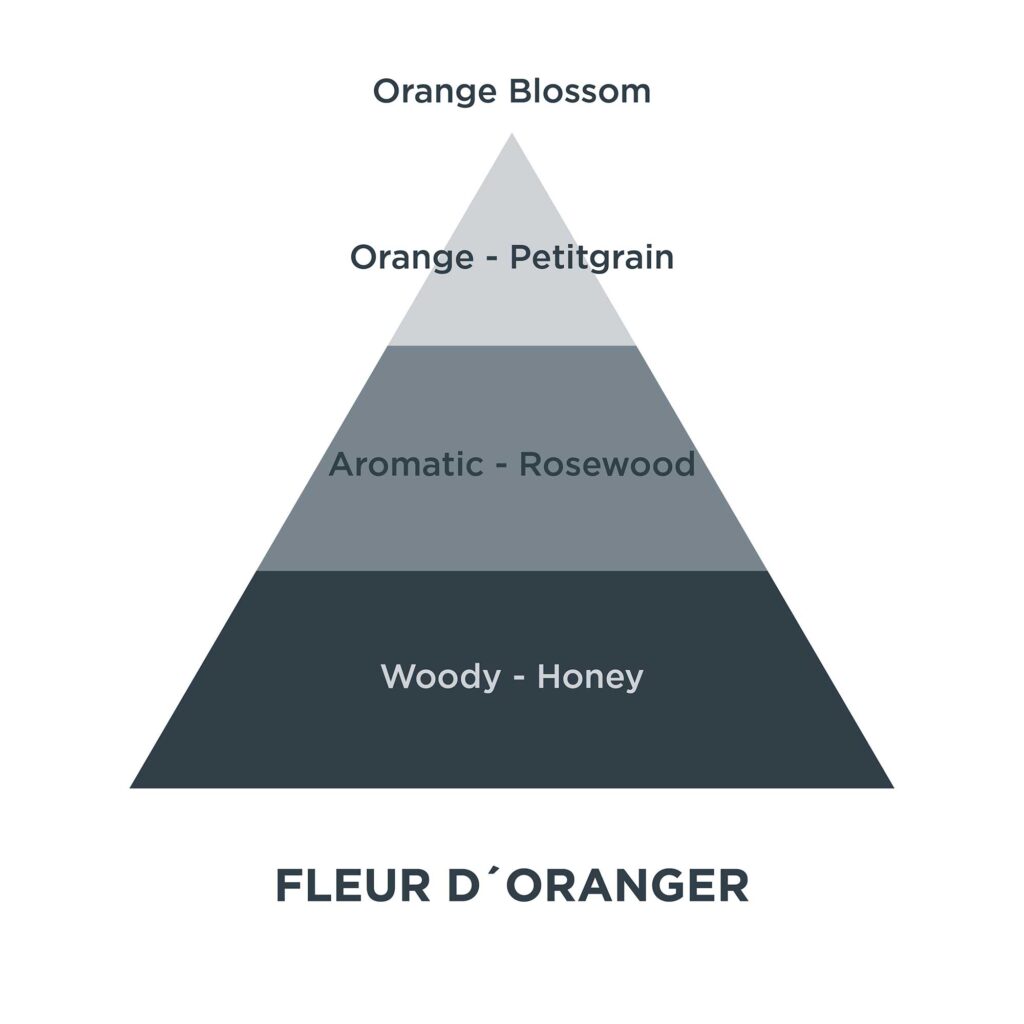 Piramides olfativas 15