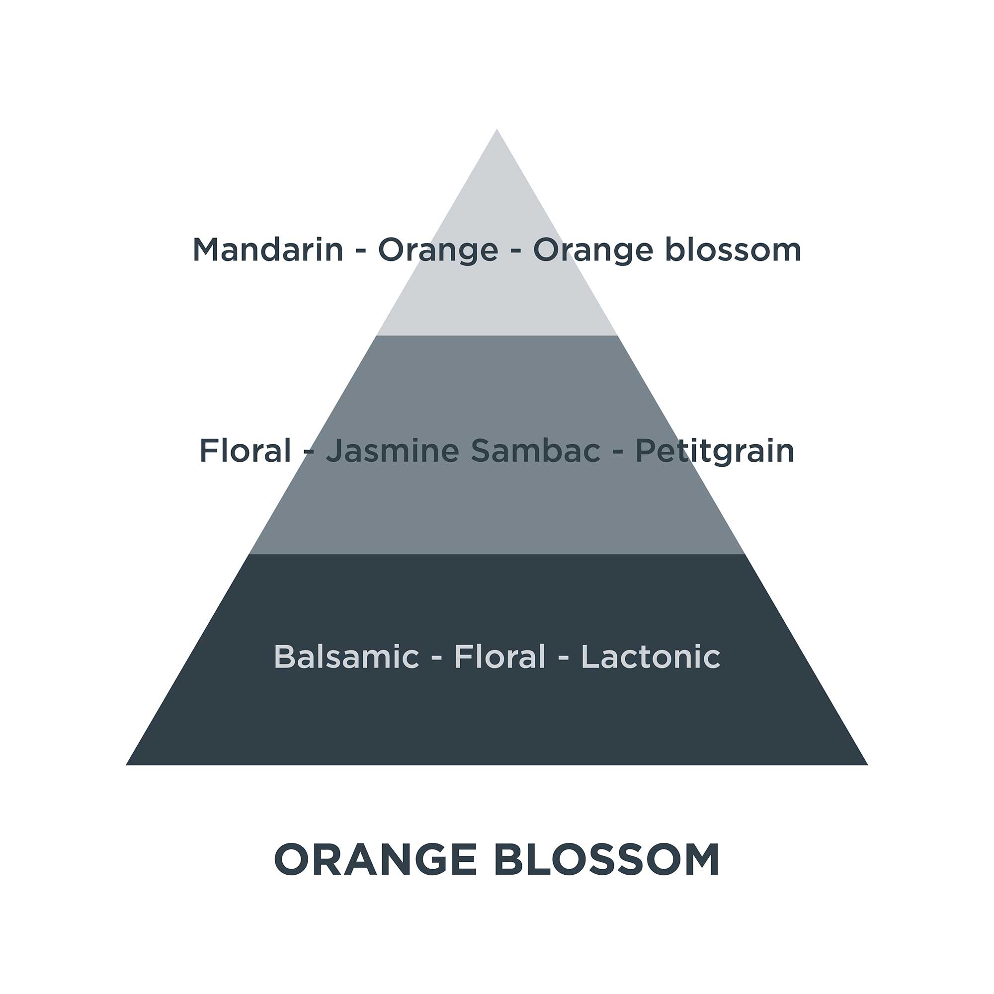 Piramides olfativas 16