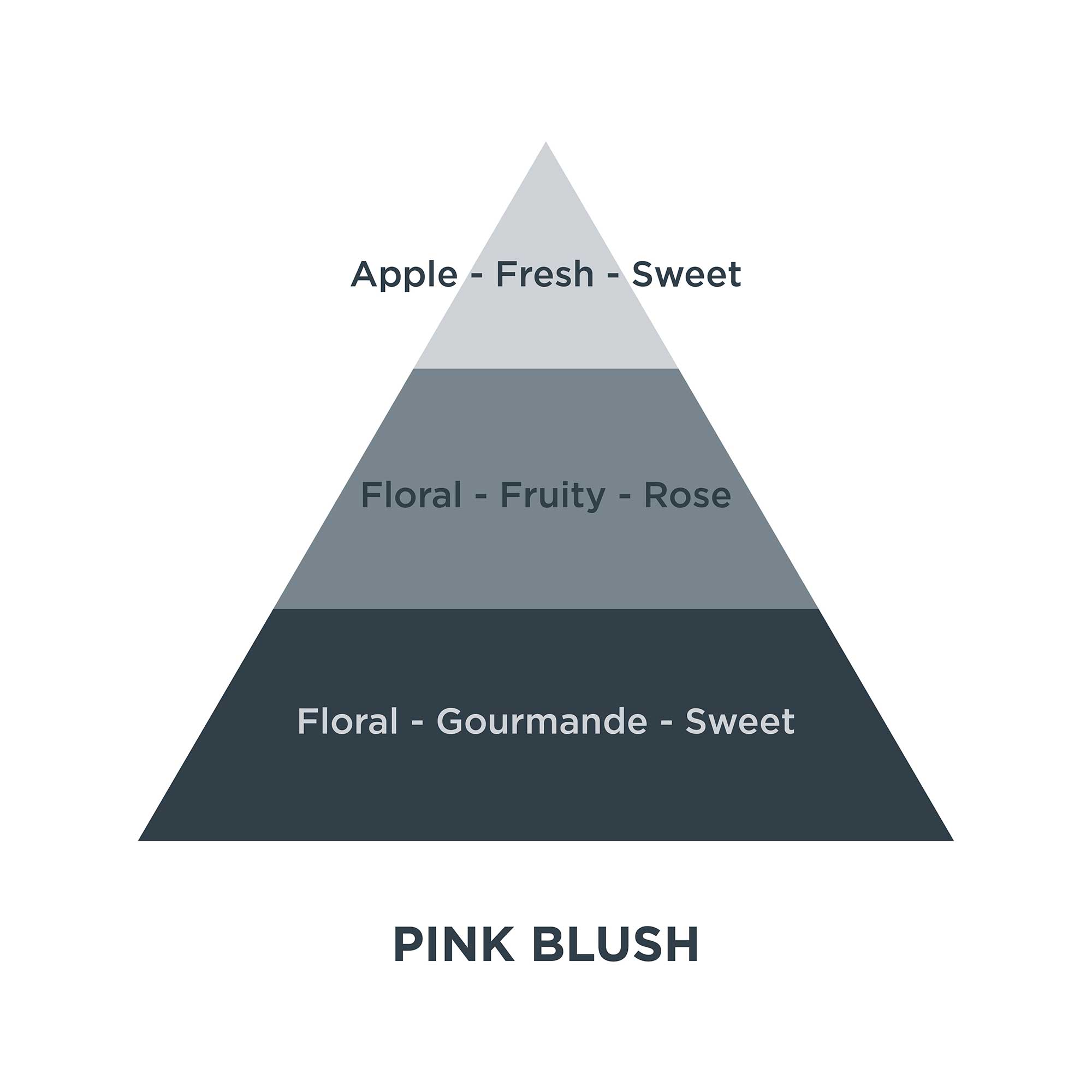 Piramides olfativas 17