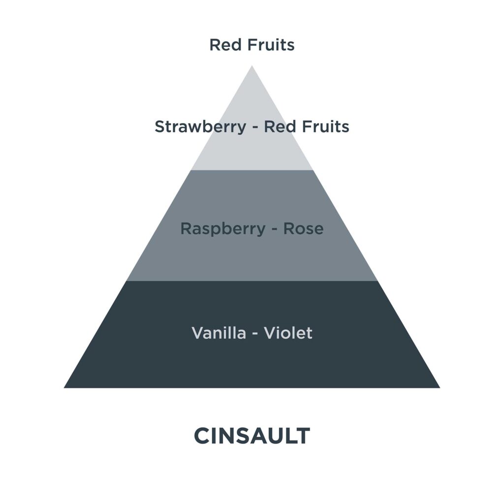 Piramides olfativas 18