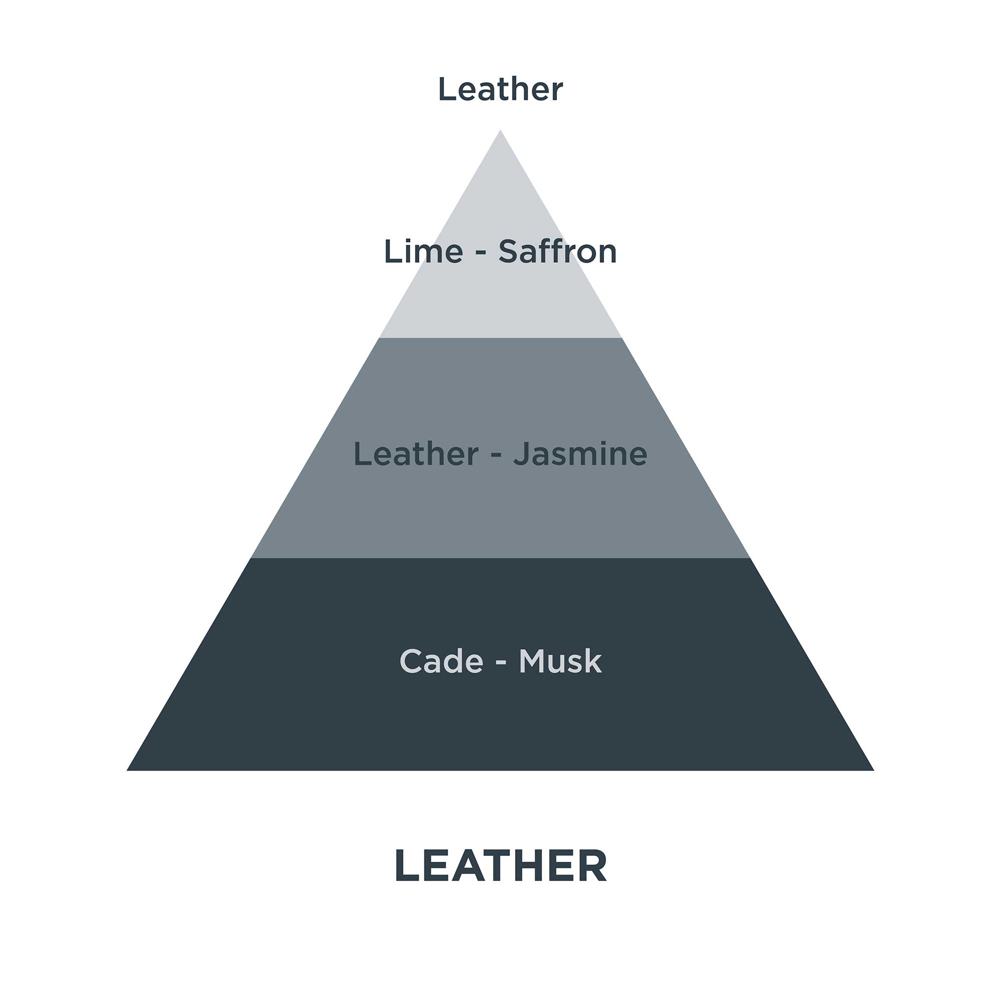 Piramides olfativas 20