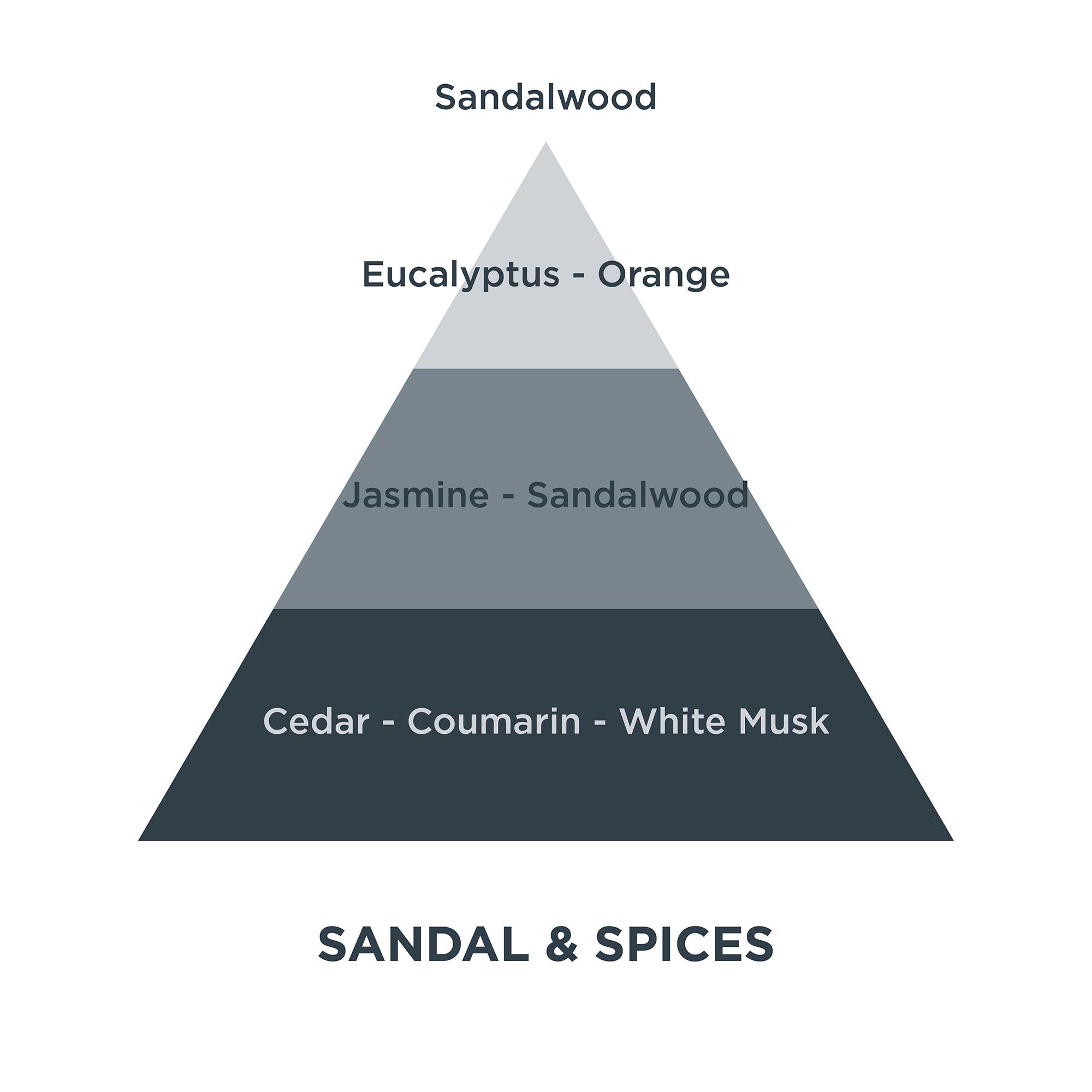 Piramides olfativas 22