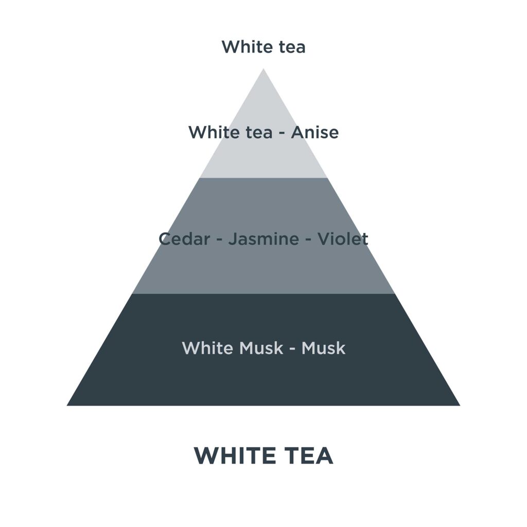 Piramides olfativas 24